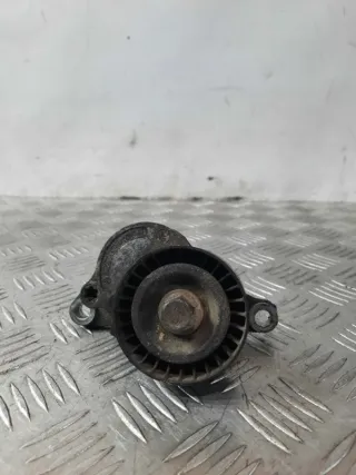 8200357406 Натяжитель ремня генератора Nissan Qashqai 1  Арт 19300, вид 2