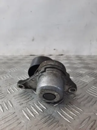 8200357406 Натяжитель ремня генератора Nissan Qashqai 1  Арт 19300, вид 4