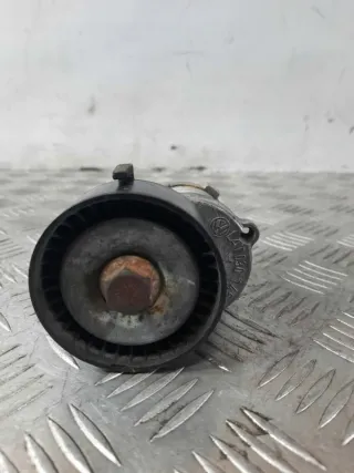 030145299F Натяжитель ремня генератора Seat Arosa Арт 19536, вид 1