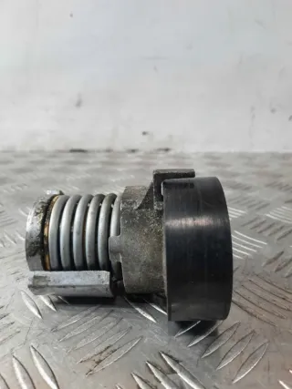 030145299F Натяжитель ремня генератора Seat Arosa Арт 19536, вид 4