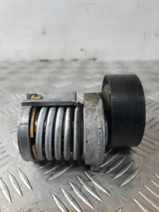 030145299F Натяжитель ремня генератора Seat Arosa Арт 19536, вид 5