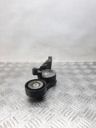 03G903315C Натяжитель ремня генератора Volkswagen Passat B6 Арт 20980, вид 2
