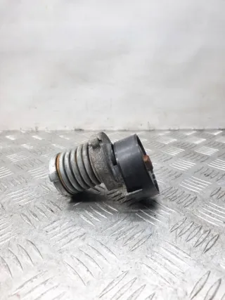 030145299F Натяжитель ремня генератора Seat Ibiza 3 Арт 22341, вид 5