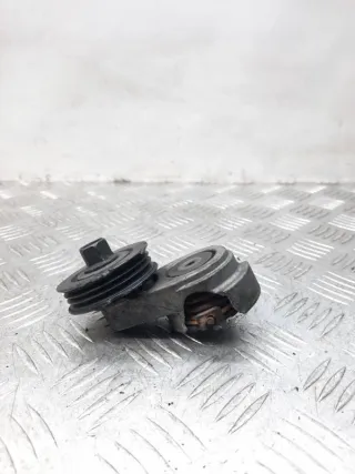 1X4E8W508CB Натяжитель ремня генератора Jaguar X-Type Арт 22600, вид 5