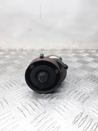 030145299D Натяжитель ремня генератора Volkswagen Lupo Арт 24728, вид 1