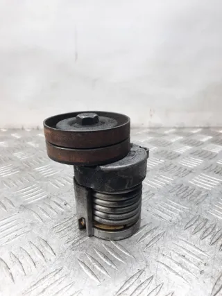 030145299D Натяжитель ремня генератора Volkswagen Lupo Арт 24728, вид 5