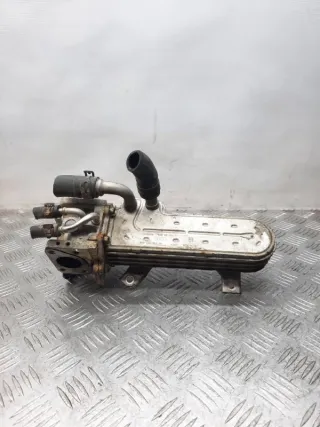038131513AD Радиатор EGR Volkswagen Passat B6 Арт 25173, вид 1