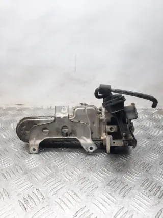 038131513AD Радиатор EGR Volkswagen Passat B6 Арт 25173, вид 3