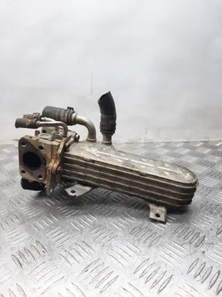 038131513AD Радиатор EGR Volkswagen Passat B6 Арт 25173, вид 5