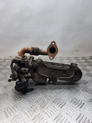 038131513AD Радиатор EGR Volkswagen Golf 6 Арт 26096, вид 1
