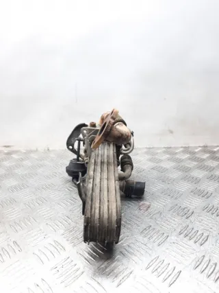038131513AD Радиатор EGR Volkswagen Golf 6 Арт 26096, вид 4