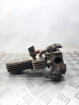 038131513AD Радиатор EGR Volkswagen Golf 6 Арт 26096, вид 5