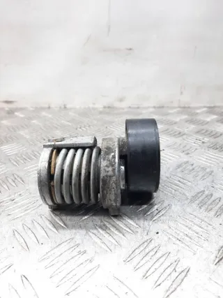 030145299F Натяжитель ремня генератора Volkswagen Polo 5 Арт 26582, вид 2