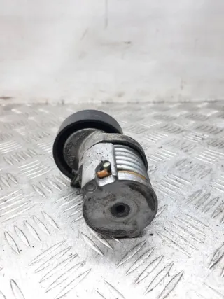 030145299F Натяжитель ремня генератора Volkswagen Polo 5 Арт 26582, вид 3