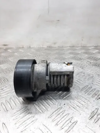 030145299F Натяжитель ремня генератора Volkswagen Polo 5 Арт 26582, вид 4