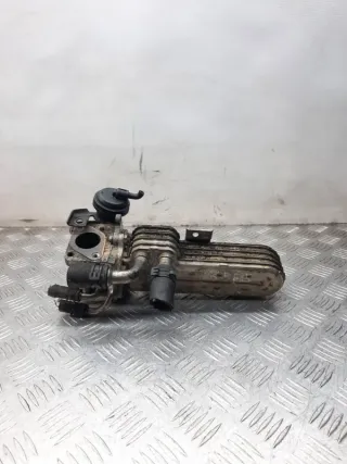 038131513AD Радиатор EGR Volkswagen Golf 5 Арт 28361, вид 1