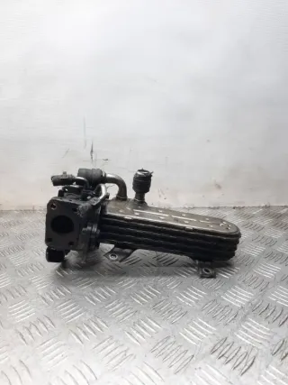 038131513AD Радиатор EGR Volkswagen Golf 5 Арт 28856, вид 5