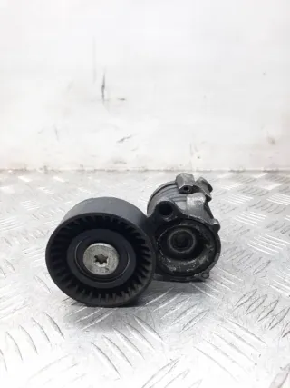 03D903305B Натяжитель ремня генератора Volkswagen Polo 5 Арт 30988, вид 1