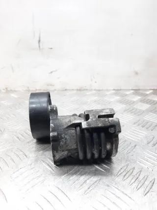 03D903305B Натяжитель ремня генератора Volkswagen Polo 5 Арт 30988, вид 4