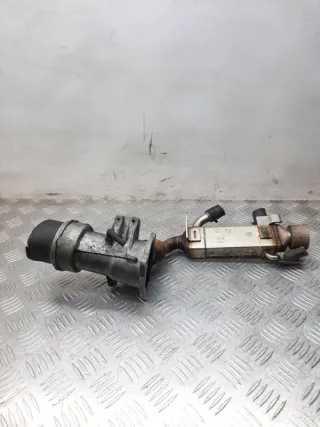 A6461400875 Радиатор EGR Mercedes C W203 Арт 31553, вид 1
