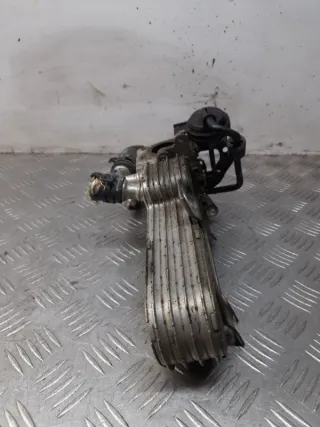 038131513AD Радиатор EGR Seat Altea Арт 33142, вид 2