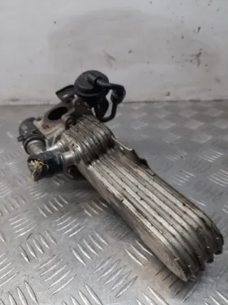 038131513AD Радиатор EGR Seat Altea Арт 33142, вид 6