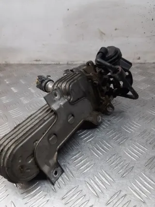 038131513AD Радиатор EGR Seat Altea Арт 33142, вид 7