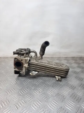 038131513AD Радиатор EGR Volkswagen Golf 5 Арт 33555, вид 1