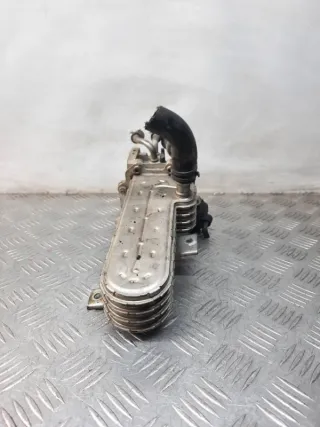 038131513AD Радиатор EGR Volkswagen Golf 5 Арт 33555, вид 4