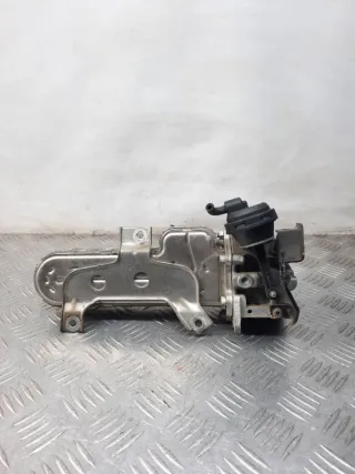 038131513AD Радиатор EGR Volkswagen Golf 5 Арт 33555, вид 5