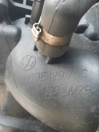 03E129711C Коллектор впускной Volkswagen Polo 5 Арт 33622, вид 7
