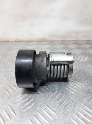 030145299F Натяжитель ремня генератора Volkswagen Polo 4 Арт 33719, вид 2