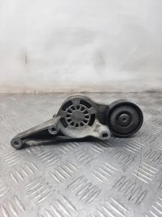 03G903315D Натяжитель ремня генератора Volkswagen Golf 5 Арт 35772, вид 1