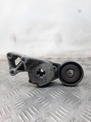 06A903315F Натяжитель ремня генератора Volkswagen Eos Арт 37069, вид 1