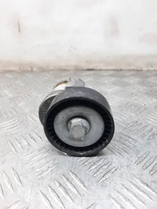 030145299F Натяжитель ремня генератора Volkswagen Polo 4 Арт 40478, вид 1