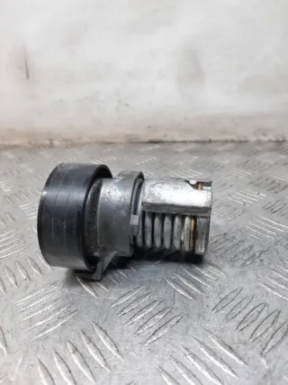 030145299F Натяжитель ремня генератора Volkswagen Polo 4 Арт 40478, вид 2