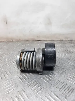 030145299F Натяжитель ремня генератора Volkswagen Polo 4 Арт 40478, вид 4