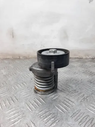 030145299F Натяжитель ремня генератора Volkswagen Polo 4 Арт 40478, вид 5