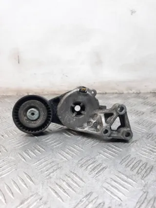 06A903315E Натяжитель ремня генератора Volkswagen Golf 3 Арт 40527, вид 1