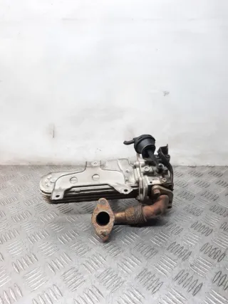 038131513AD Радиатор EGR Seat Leon 2 Арт 40774, вид 5