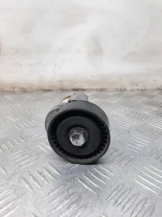 030145299F Натяжитель ремня генератора Volkswagen Polo 5 Арт 44463, вид 1