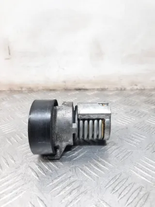 030145299F Натяжитель ремня генератора Volkswagen Polo 5 Арт 44463, вид 2