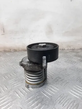 030145299F Натяжитель ремня генератора Volkswagen Polo 5 Арт 44463, вид 5