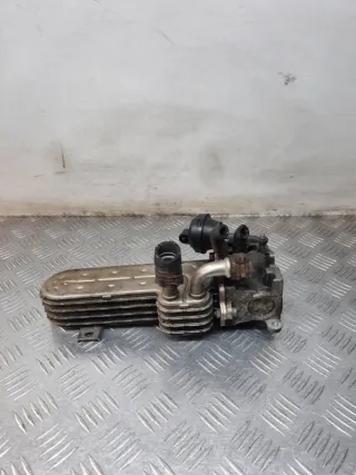 03G131513J Радиатор EGR Volkswagen Golf 5 Арт 45391, вид 1