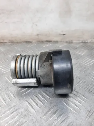 030145299F Натяжитель ремня генератора Volkswagen Polo 5 Арт 45923, вид 2