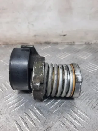030145299F Натяжитель ремня генератора Volkswagen Polo 5 Арт 45923, вид 4