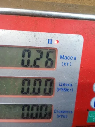 A4545000249 Бачок расширительный Mitsubishi Colt 6 restailing Арт 46698, вид 7