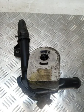 8200267937F Радиатор масляный Renault Scenic 2 Арт 46720, вид 3