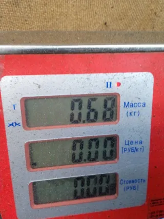  Бачок омывателя Opel Astra H Арт 47194, вид 5