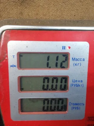 4R8Q9D280BC Топливная рейка Land Rover Discovery 3 Арт 48032, вид 6